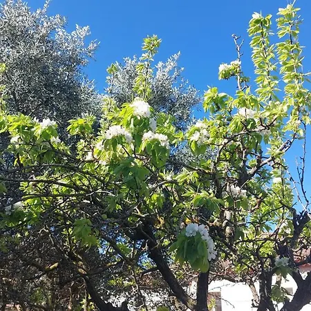 Belle Maison 140 M2 A 15 Mn De La 10 Mn De Montpellier Villa *