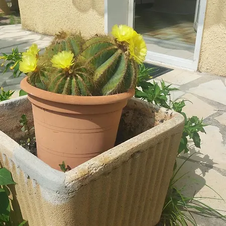 Belle Maison 140 M2 A 15 Mn De La 10 Mn De Montpellier Teyran