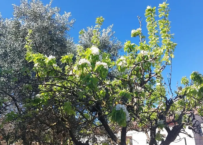 Belle Maison 140 M2 A 15 Mn De La 10 Mn De Montpellier Villa *
