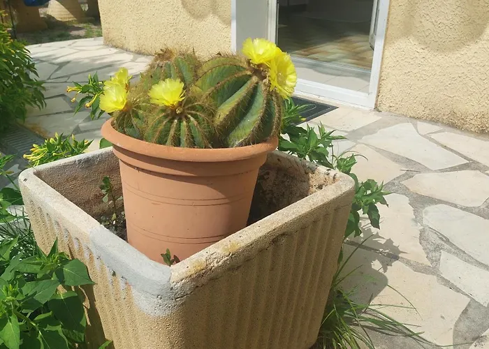 Belle Maison 140 M2 A 15 Mn De La 10 Mn De Montpellier Teyran